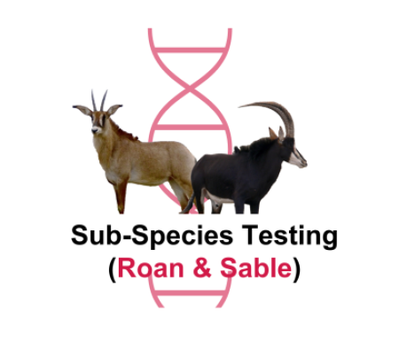 Subspecies (Roan and Sable)